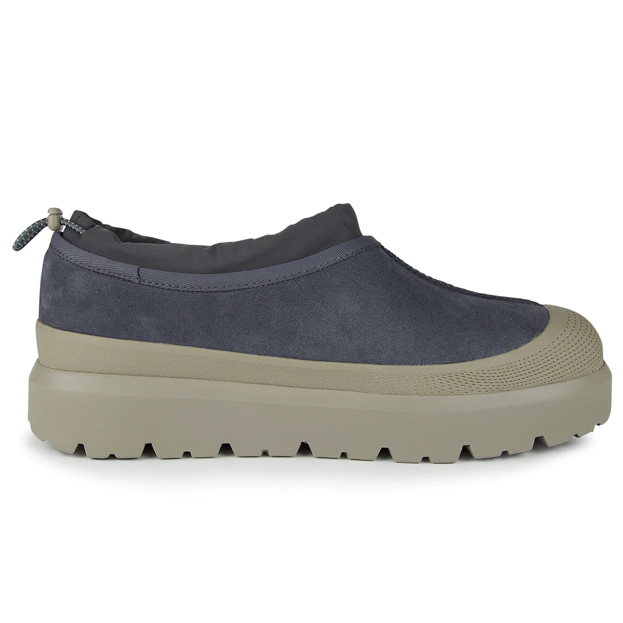 Tasman Weather Hybrid